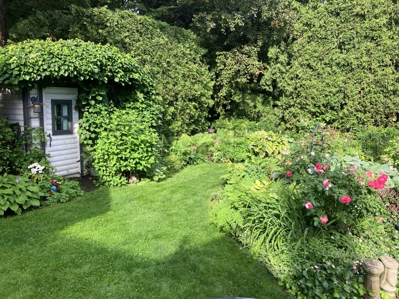 Lush cottage-style garden with mature plantings, roses and a tidy lawn in Hamilton